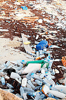 垃圾,岸边,阿拉伯湾,矿泉水瓶,洗发水,瓶子,老,锡罐,危险,面对,海洋,调节