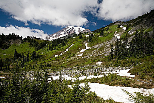 雪,山,雷尼尔山国家公园,华盛顿,美国