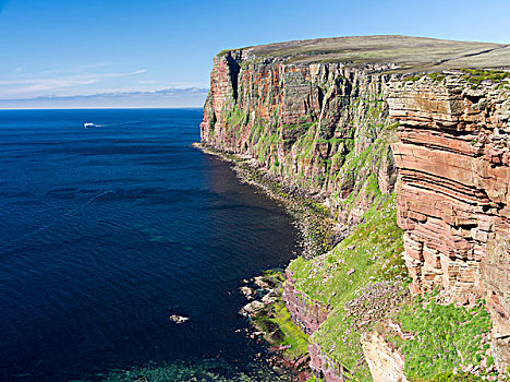 悬崖,岛屿,靠近,老人,斜坡,头部,奥克尼群岛,苏格兰,大幅,尺寸
