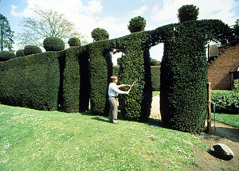 园丁,人,塑像,树篱,英格兰,英国