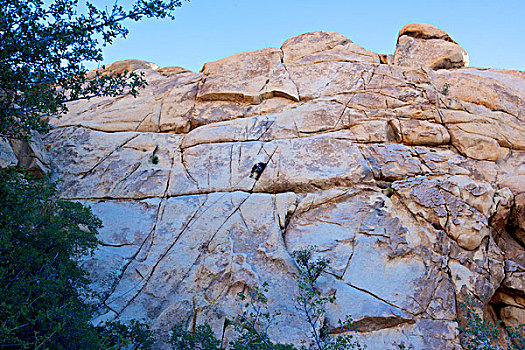 漂石,墙壁,约书亚树国家公园,攀岩者,测验,技能,大幅,尺寸