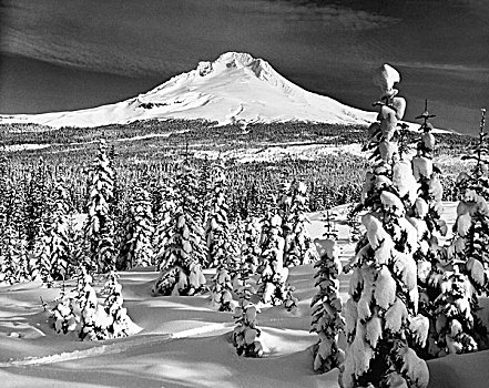 全景,积雪,风景,胡德山,俄勒冈,美国