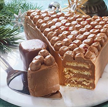 奶油巧克力,蛋糕,健身,圣诞树,块,切削