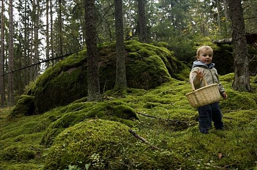 孩子,采蘑菇,瑞典