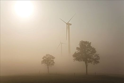 风轮机,雾,靠近,巴登符腾堡,德国,欧洲