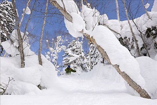 屈膝旋转式滑雪,大雪山国家公园,北海道,日本