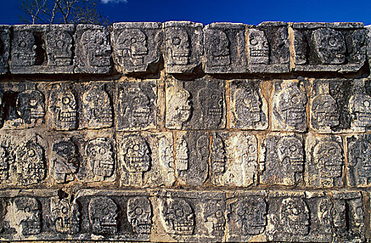 头骨,墙壁,玛雅,遗址,奇琴伊察,尤卡坦半岛,墨西哥,北美