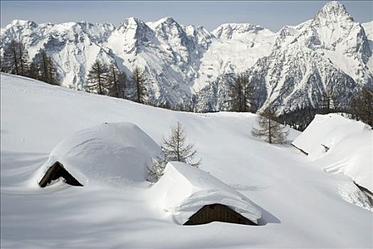 阿尔卑斯小屋,背影,上奥地利州