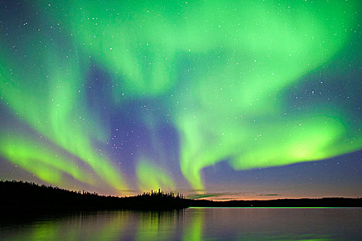 北极光,北方针叶林,耶洛奈夫,加拿大西北地区,加拿大