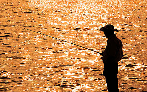 孤单,渔民,迟,钟点,日落
