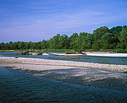 伊萨河,湿地,沃尔夫拉策豪森,上巴伐利亚,巴伐利亚,德国,欧洲