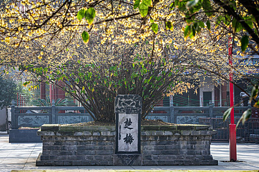 湖北荆州章华寺风光