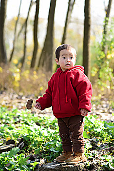 秋天树林里拿着树叶的小男孩
