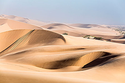 纳米布沙漠,沙丘,纳米比亚,非洲