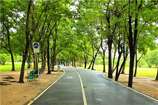 绿色,城市公园