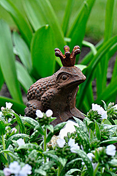 装饰,青蛙,小雕像,葱属植物,叶子