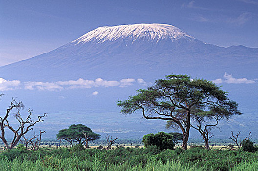 非洲,肯尼亚,安伯塞利国家公园,乞力马扎罗山