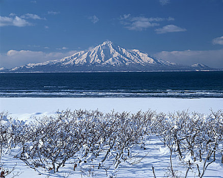 山,冬天