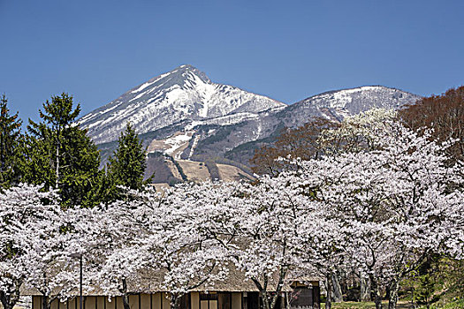 磐梯山,线条,福岛,日本
