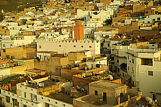 阿尔及利亚,全视图