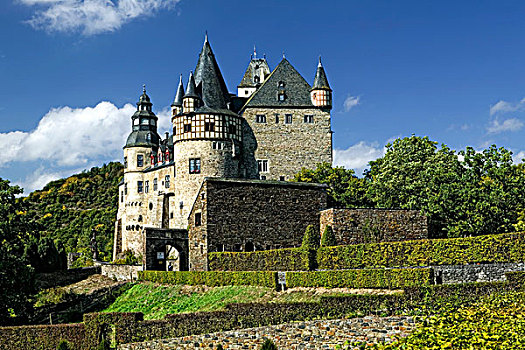 城堡,靠近,莱茵兰普法尔茨州,德国,欧洲