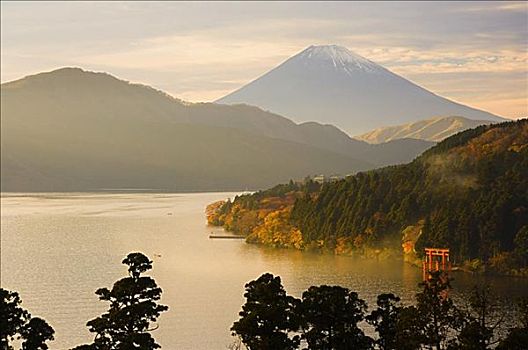 湖,富士山,本州,日本