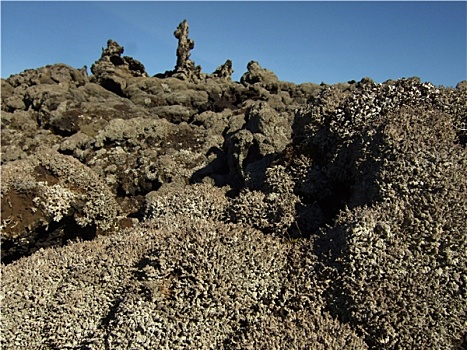 冰岛,火山岩,岩石