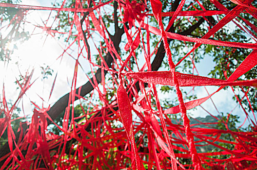 挂满红色丝带的许愿树