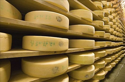 2006年,奶酪,成熟,存储,乳业