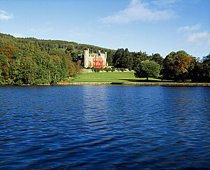 城堡,湖,爱尔兰,19世纪