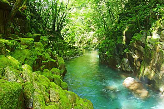 峡谷,熊本,日本