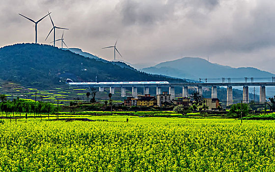 山,高铁,油菜花,春天,森林公园,驴友,村庄,农村,树,天空