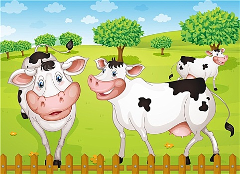 母牛,放牧,农场