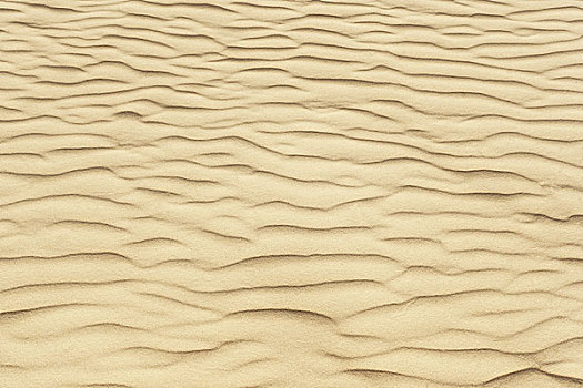沙子,纹理,背景,留白