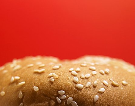 芝麻,面包,红色背景