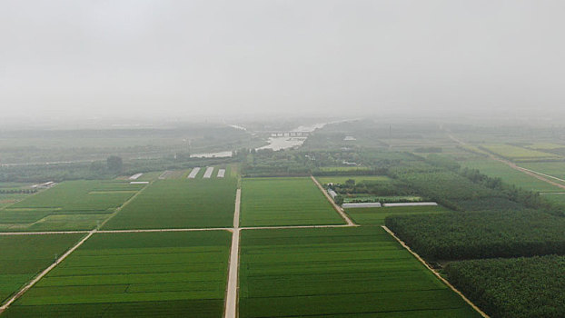 山东省日照市,航拍万亩稻田仿佛大地披上绿装,今年又是一个丰收年