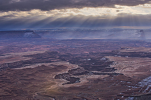 航拍,峡谷,俯瞰,峡谷地国家公园,犹他,美国