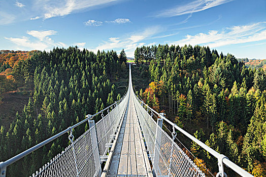 悬挂,索桥,莱茵兰普法尔茨州,德国,欧洲