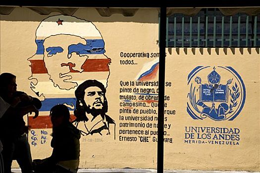 大学,肖像,切-格瓦拉,墙壁,梅里达,委内瑞拉,南美
