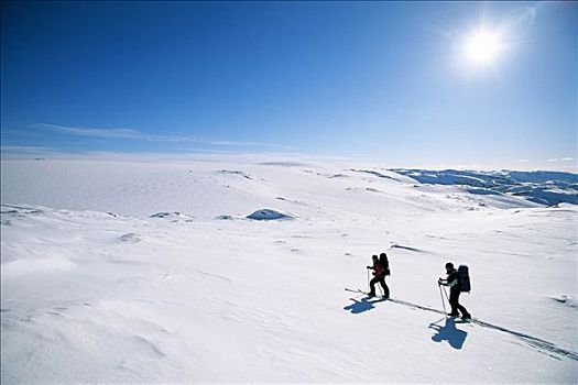 两个,滑雪者,荒芜,风景