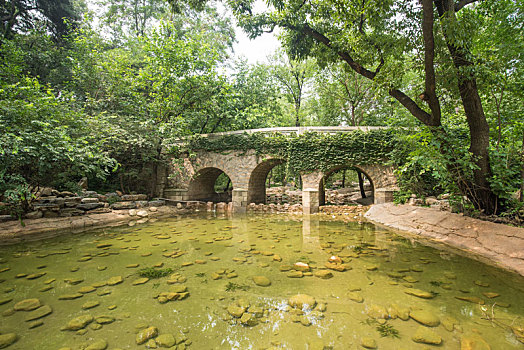 公园池塘树林小桥