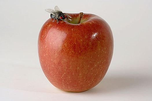 塑料制品,飞行,坐,上面,苹果
