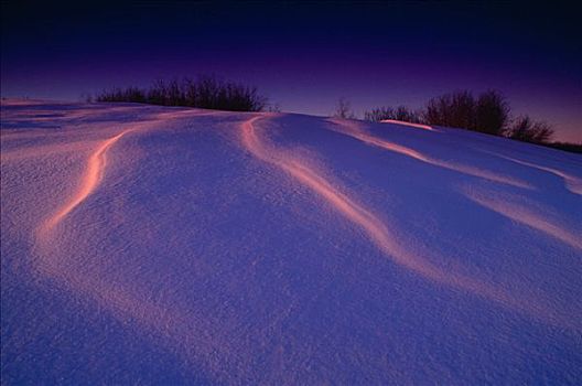 雪堆,靠近,艾伯塔省,加拿大
