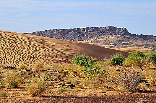 荒漠景观,沙丘,岩石,山,路线,阿德拉尔,区域,毛里塔尼亚,非洲