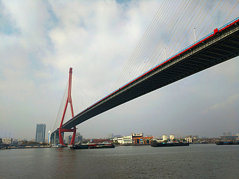 杨浦大桥,桥梁工程,上海滨江