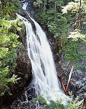 省立公园,温哥华岛,米拉,瀑布,流动,雨林,大幅,尺寸