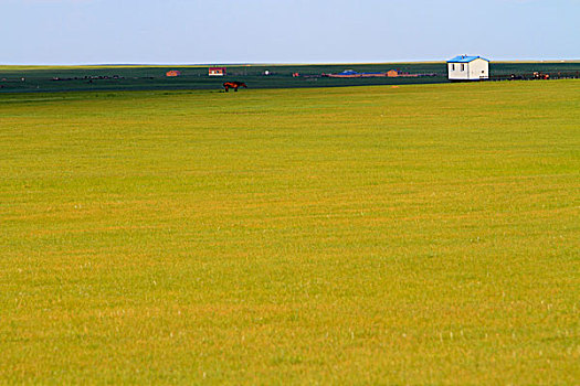 草原,牧场,建筑