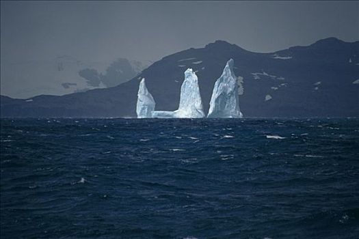 冰山,水中,南乔治亚,南极
