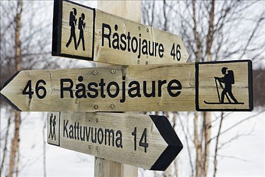 挪威,流行,区域,冬天,夏天,运动,小路,室外,荒野,滑雪者,雪地车
