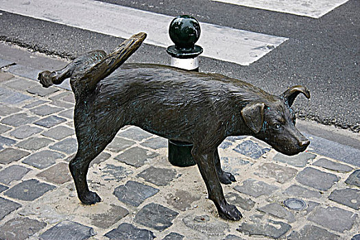 比利时,布鲁塞尔,地区,卡尔特猫,街道,狗,雕塑